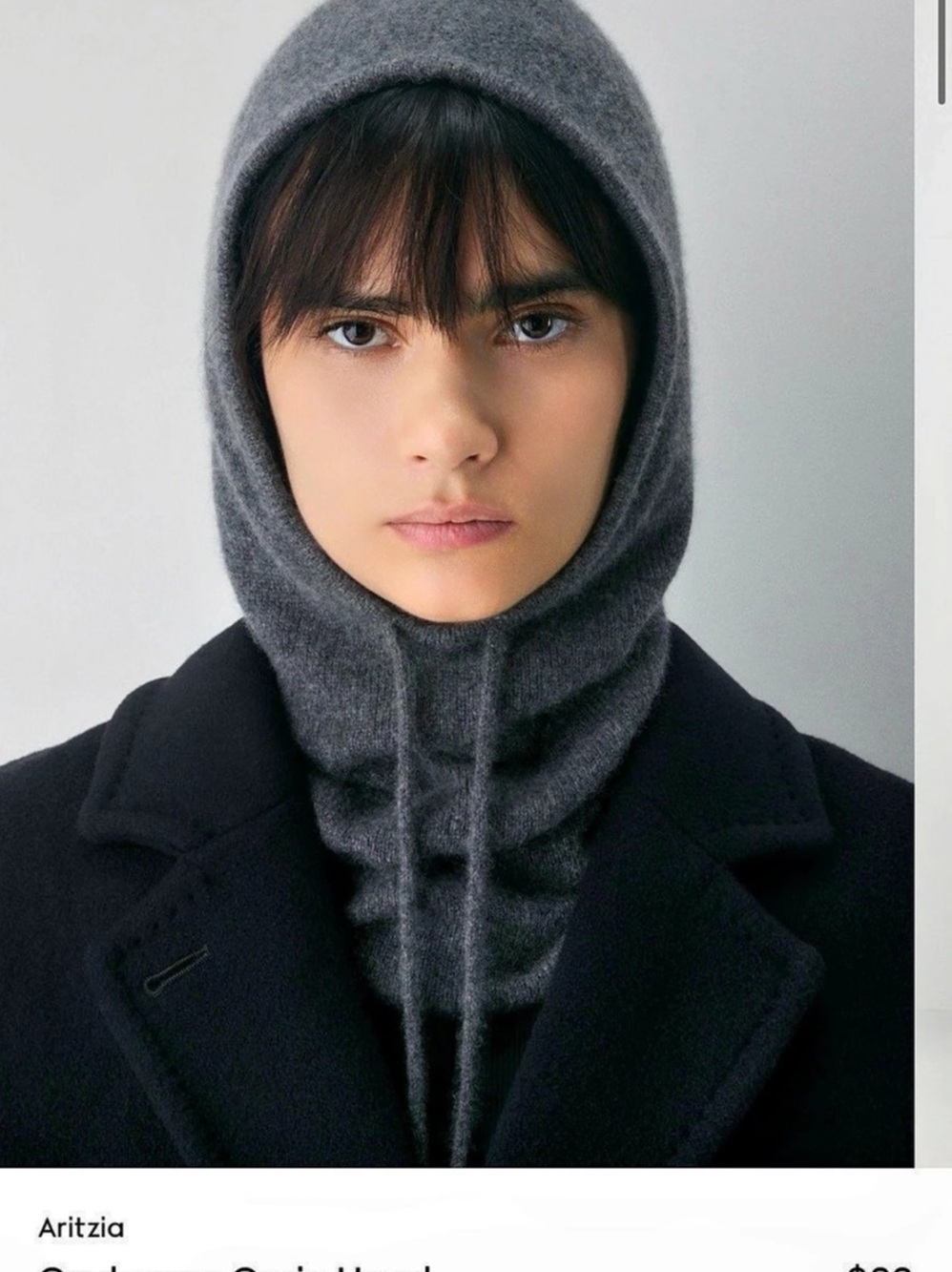 Aritzia Cashmere Curio Hood